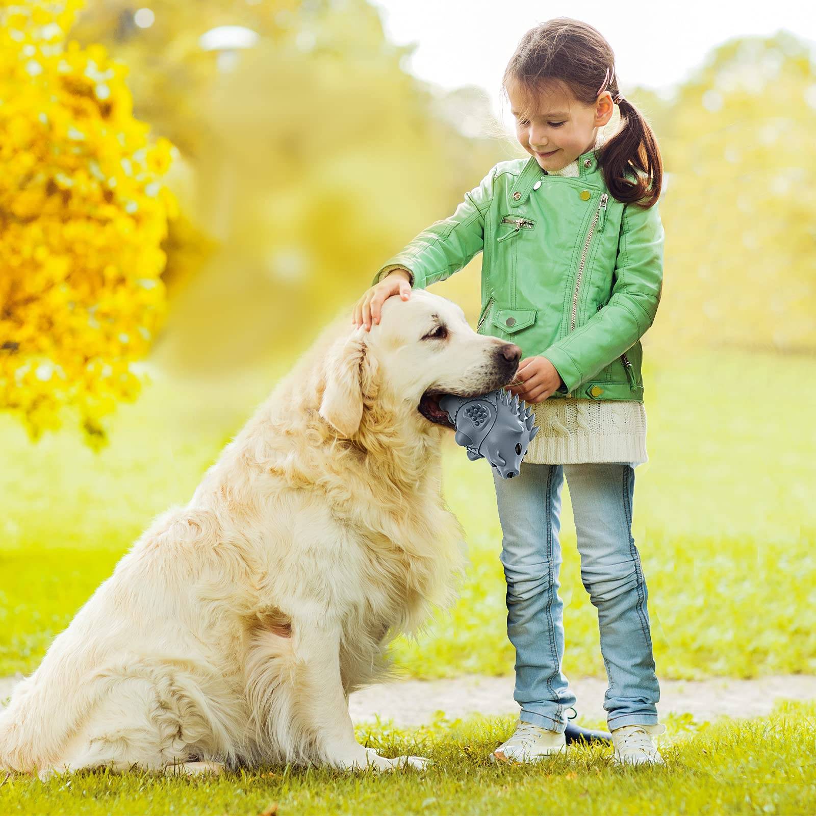 Manchester’s Trusted Garden Cleaning for Pet Owners