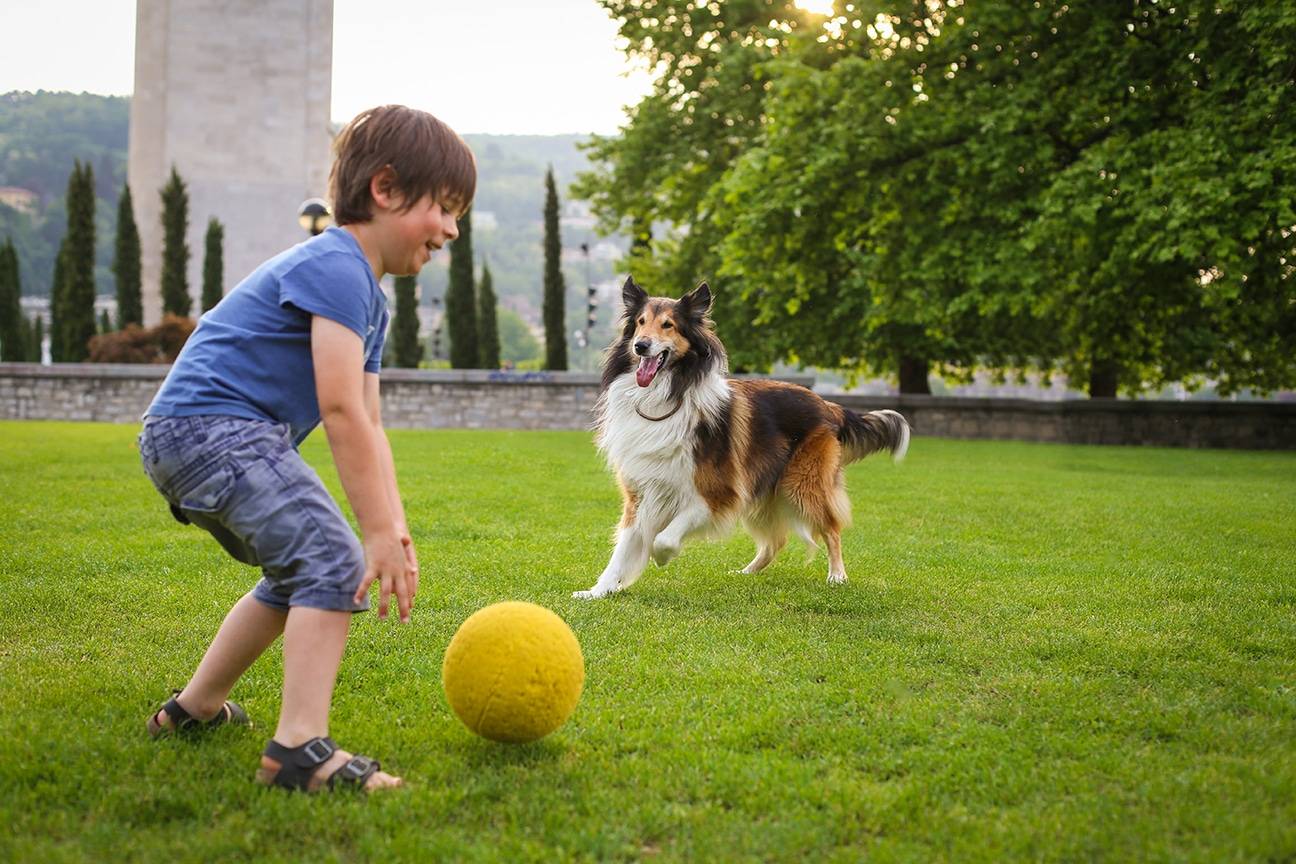 Manchester’s Trusted Garden Cleaning for Pet Owners