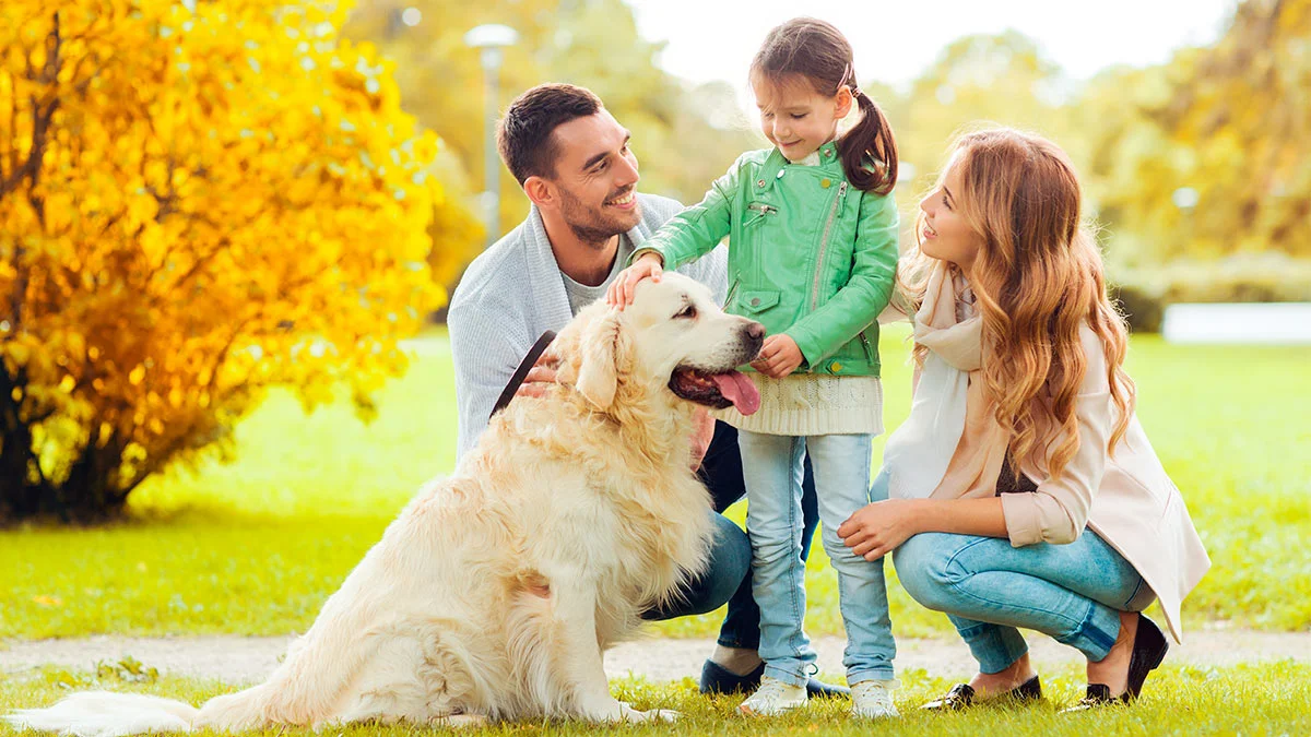 Manchester’s Trusted Garden Cleaning for Pet Owners